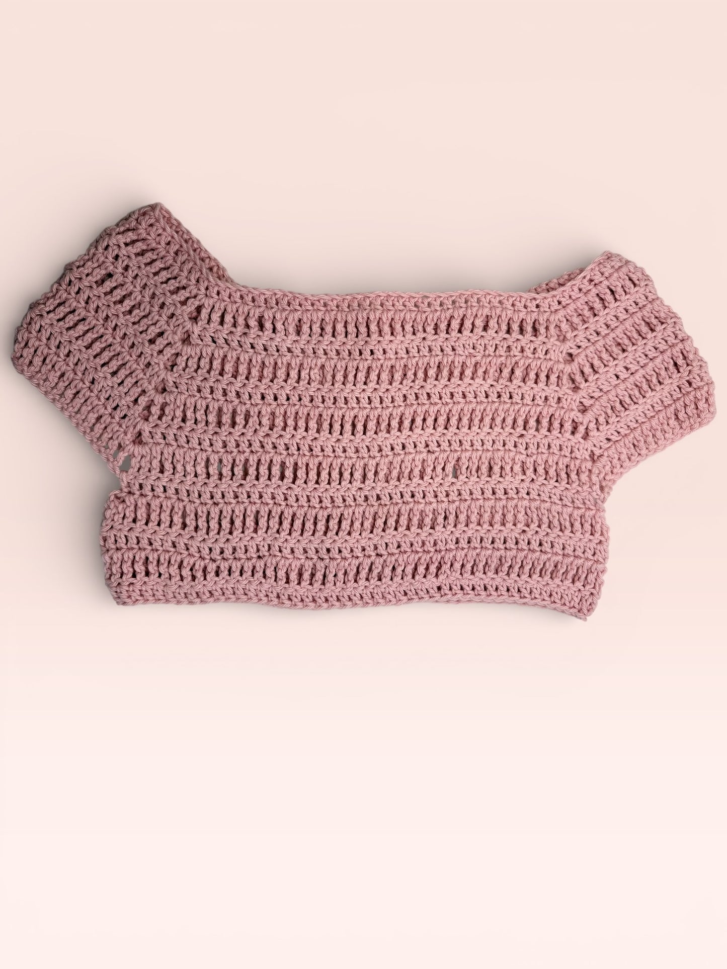 Mesh Crop Top